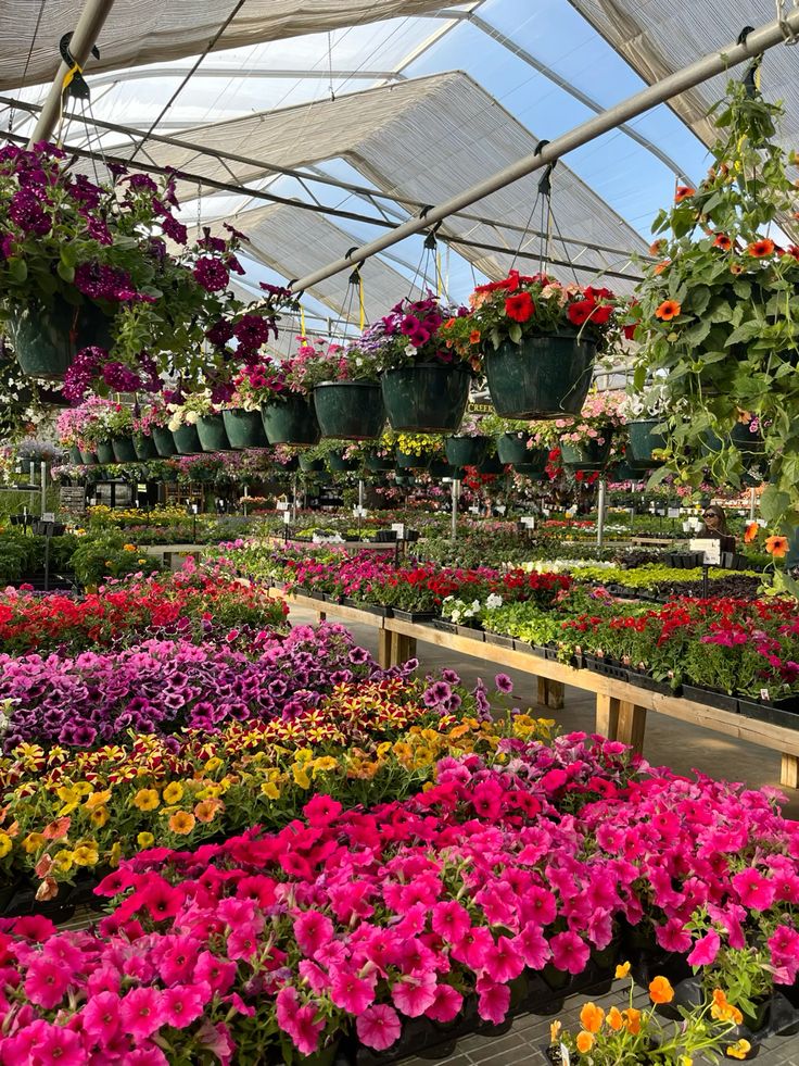 Commercial nurseries